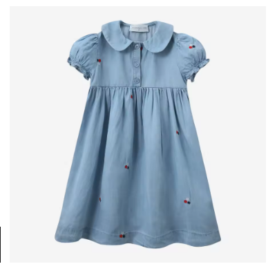 Embroidered Denim Dress SS